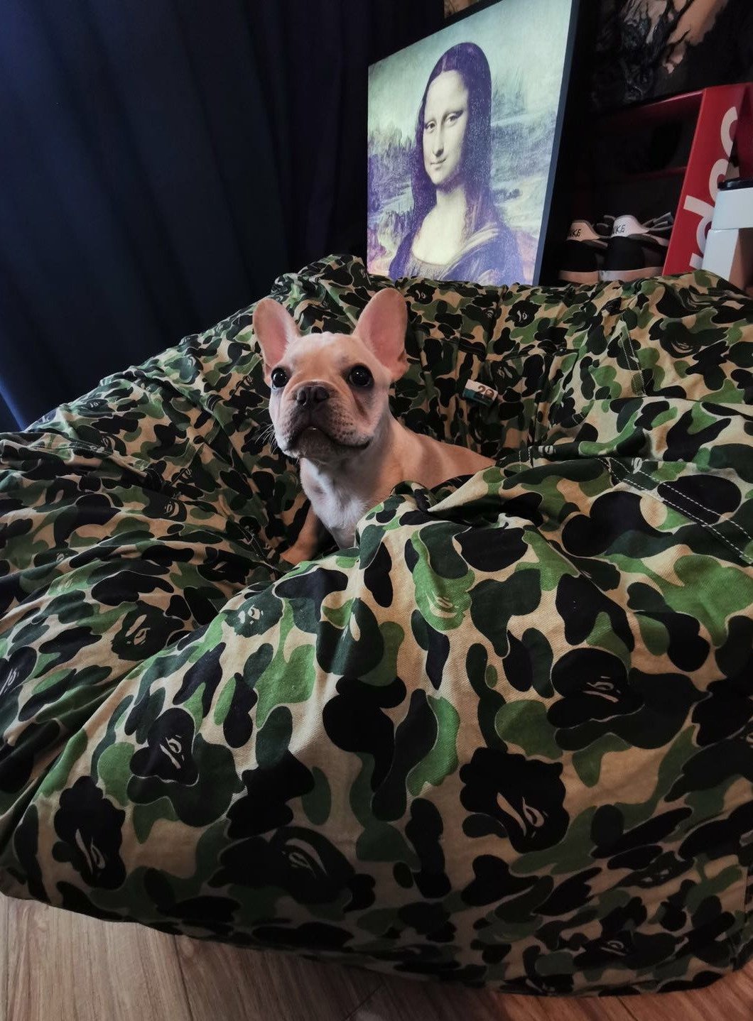 Saco de feijão BAPE