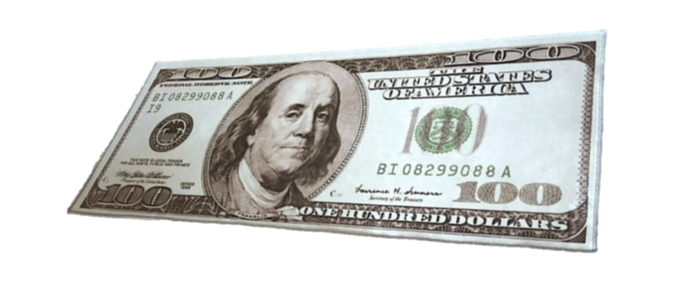 100 DOLLAR BILL RUG