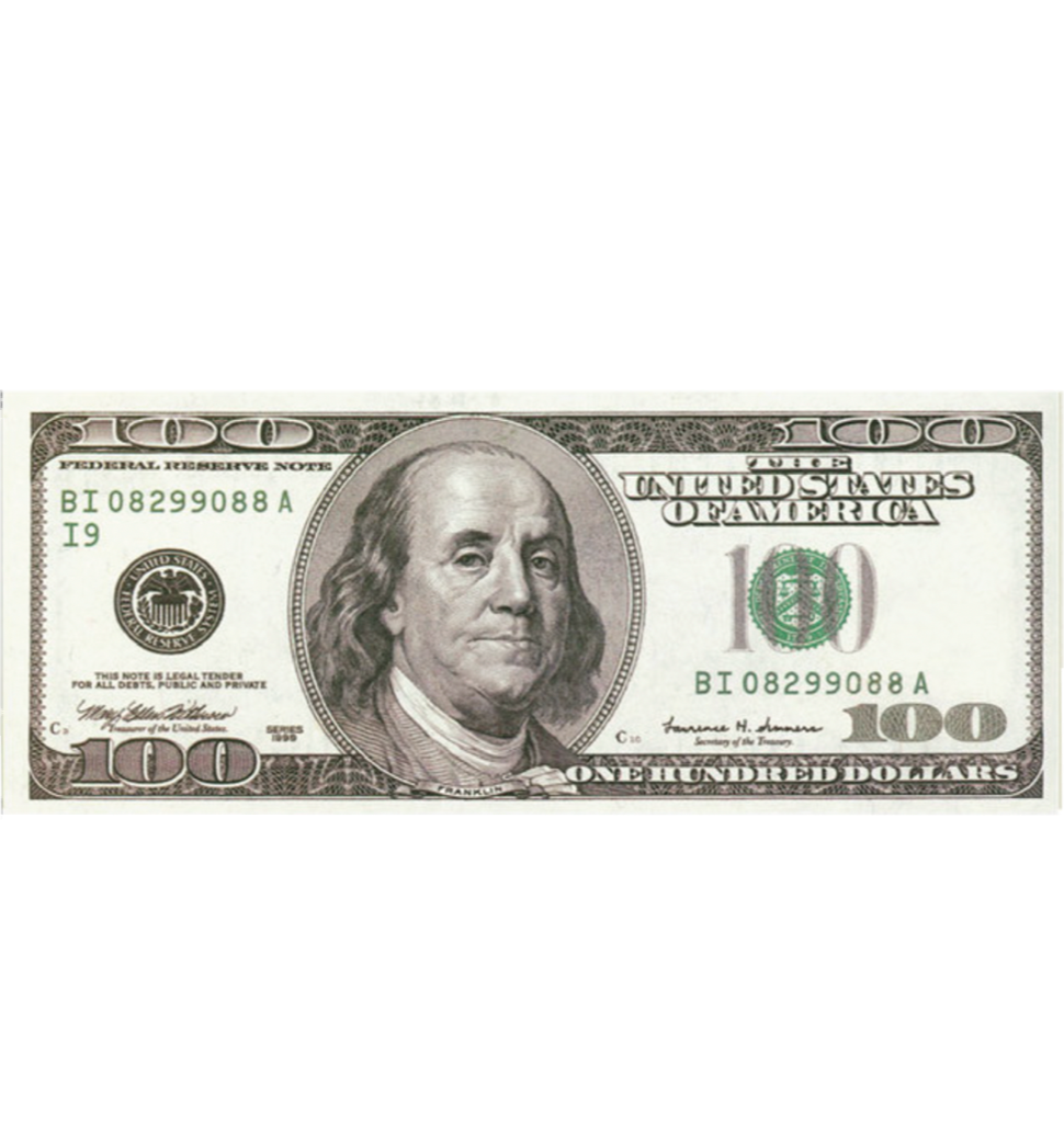 100 DOLLAR BILL RUG