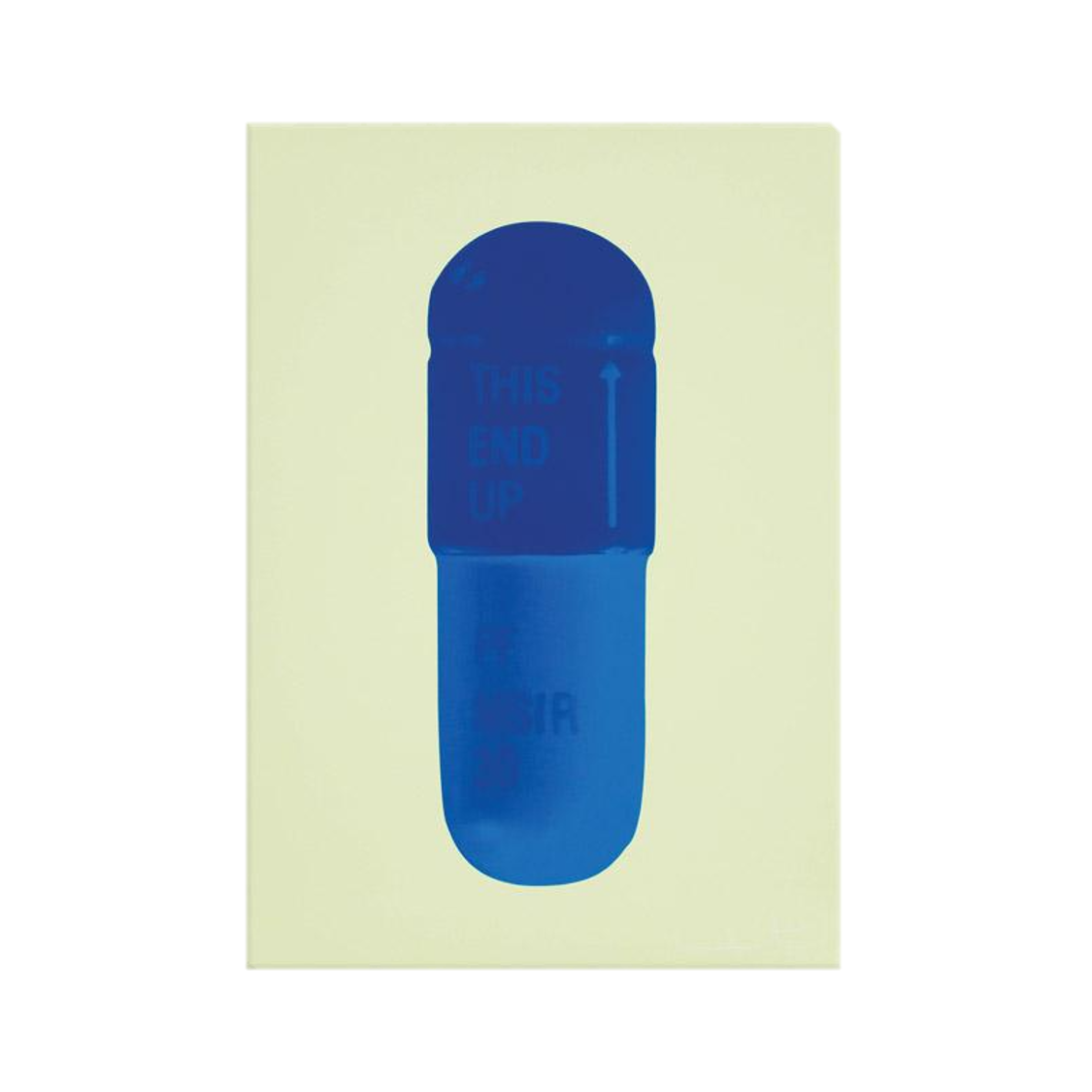 "THE CURE" PILLS CANVAS PRINT