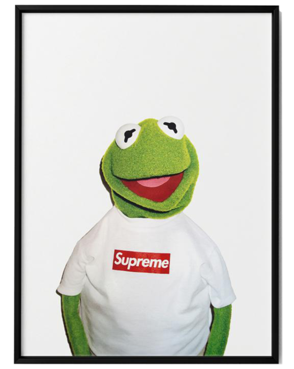 "KERMIT THE FROG" WALL FRAME