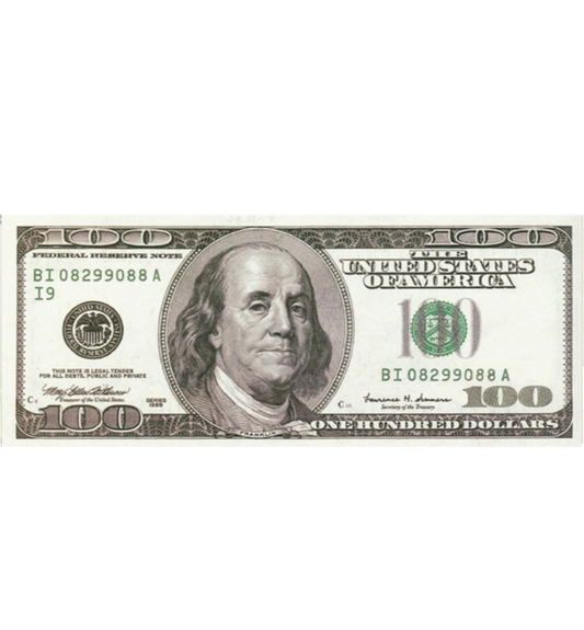100 DOLLAR BILL RUG