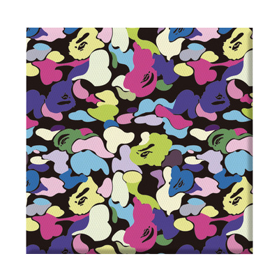 BAPE CUSTOM CAMO COLLAGE CANVAS PRINT